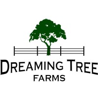 Dreaming Tree Farms