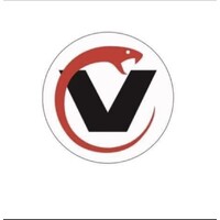 The Viper Group logo - Similar company to Viper Technology