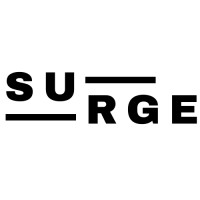 Surge Inc logo - Similar company to Decaroy