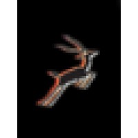 Antelope Entertainment, Inc.