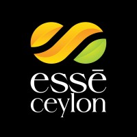 Esse Ceylon logo - Similar company to Informatica Esse