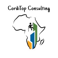CordiTop Consulting logo - Similar company to Synappsys