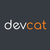 Devcat logo - Similar company to Devicat