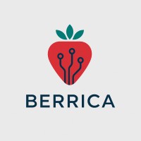 Berrica logo - Similar company to Elf Group