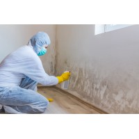 Mold Experts of Houston logo - Similar company to Mold Inspection Sciences Texas, Inc.