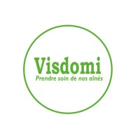 Visdomi logo - Similar company to Exe Terra