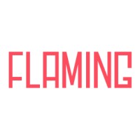 Flaming.pt logo - Similar company to Oncue Bv
