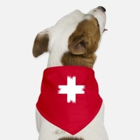 DarfSwiss logo - Similar company to Leysieffer
