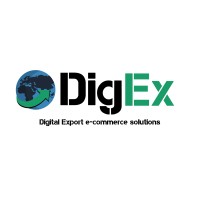 Digital Export: digital export e-commerce solutions logo - Similar company to Artarium Ex