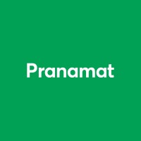 Pranamat logo - Similar company to Prolink I.T. Solutions