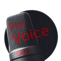 Pro Voice Guy logo - Similar company to Provoice Llc