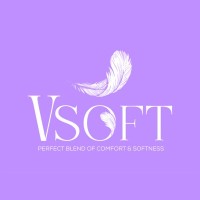 V Soft logo - Similar company to V Software Consulting
