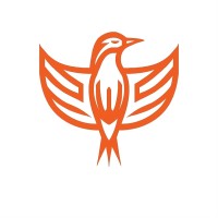 Witriol Consulting logo - Similar company to Kkj Solutions