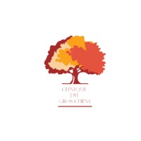 CLINIQUE DU GROS CHÊNE logo - Similar company to Tw Micronics