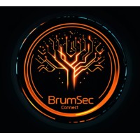 BrumSec Connect logo - Similar company to Marston Search