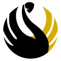 UWA Defence and Security Institute logo - Similar company to Vespiia