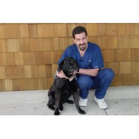 Delfino Veterinary Consulting, Inc. logo - Similar company to Max A. Pooch, Inc.