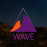 Wave Insights logo - Similar company to Fortune Insight