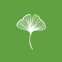 Seara De Luz logo - Similar company to International Union Of Socialist Youth