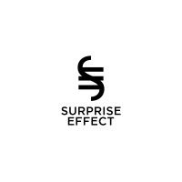 We Are Surprise Effect logo - Similar company to Lady L Trio