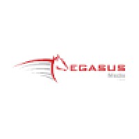 Pegasus Media Group