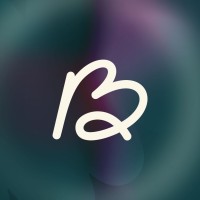 deBottomline logo - Similar company to Triska