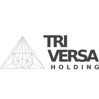 Triversa Holding logo - Similar company to Metrix Projects