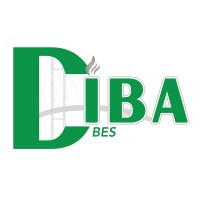 Diba BES logo - Similar company to Cybergone