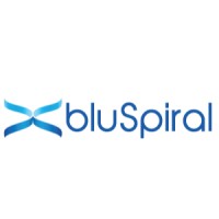 bluSpiral logo - Similar company to S3 Staffing
