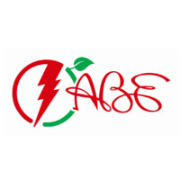ABE ELECTRICITE logo - Similar company to Sermatech