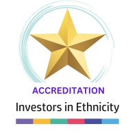 INVESTORS IN ETHNICITY Accreditation - IIE logo - Similar company to Artsekta