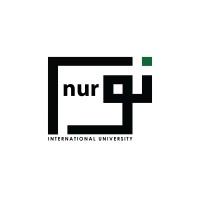 NUR International University, Lahore logo - Similar company to The Green International University Lahore