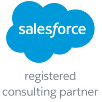 Joseph Nardone Consulting - Salesforce Consulting Partners logo - Similar company to Bvas Tech Solutions Inc. (Salesforce Consulting Partner)