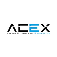 Ac-Ex Srl logo - Similar company to Bloclines Group