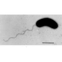 350PPM Biotech logo - Similar company to 350 Ppm Ltd