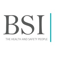 Behavioral Safety Innovation logo - Similar company to Hse Polska