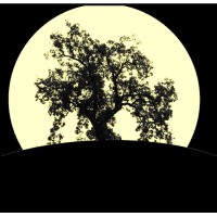 Quercus Business Services logo - Similar company to Quercus It Inc.