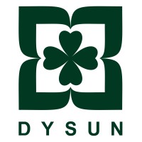 Dysun International logo - Similar company to Pc Auto Import