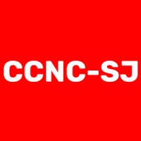 Chinese Canadian National Council for Social Justice logo - Similar company to Colour Of Poverty - Colour Of Change