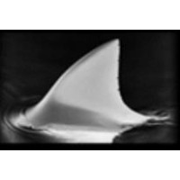 Mako Mining logo - Similar company to Ug Mining Tech