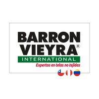 Barron Vieyra International Perú logo - Similar company to Eskuelicad