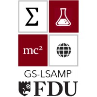 Fairleigh Dickinson University GS-LSAMP Alumni logo - Similar company to American Comparative Literature Association