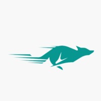 Fox Courier - CEARÁ logo - Similar company to Doesempre