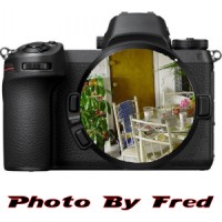 Photo By Fred