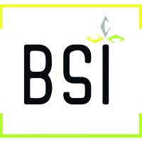 Briosque Services Informatique logo - Similar company to C1Plus - Sécurité Informatique