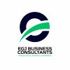 EGJ Business Consultants logo - Similar company to Palatum