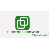 The Tech Solutions Group logo - Similar company to Tech Friday