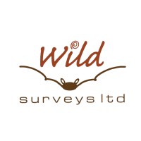 Wild Surveys Limited