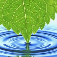 Allgreentech