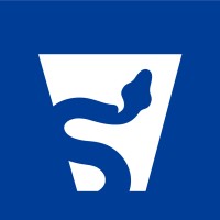 Vipyr Security logo - Similar company to Decipher